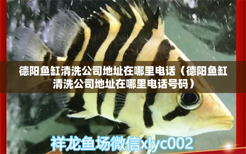 德陽魚缸清洗公司地址在哪里電話（德陽魚缸清洗公司地址在哪里電話號碼） 廣州觀賞魚批發(fā)市場