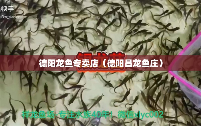 德陽龍魚專賣店（德陽昌龍魚莊） 白條過背金龍魚 第1張