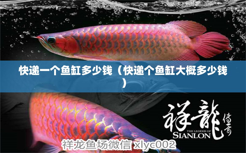 快遞一個魚缸多少錢（快遞個魚缸大概多少錢）