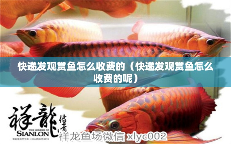 快遞發(fā)觀賞魚怎么收費(fèi)的（快遞發(fā)觀賞魚怎么收費(fèi)的呢）