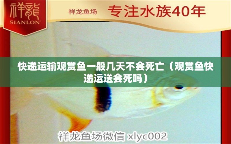 快遞運(yùn)輸觀賞魚一般幾天不會(huì)死亡（觀賞魚快遞運(yùn)送會(huì)死嗎） 網(wǎng)上購(gòu)買觀賞魚