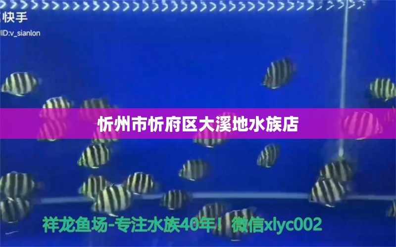 忻州市忻府區(qū)大溪地水族店 全國水族館企業(yè)名錄