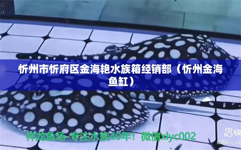 忻州市忻府區(qū)金海艷水族箱經(jīng)銷部（忻州金海魚缸） 魚缸/水族箱