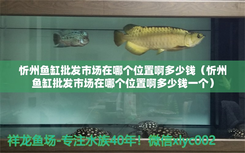 忻州魚缸批發(fā)市場在哪個位置啊多少錢（忻州魚缸批發(fā)市場在哪個位置啊多少錢一個）