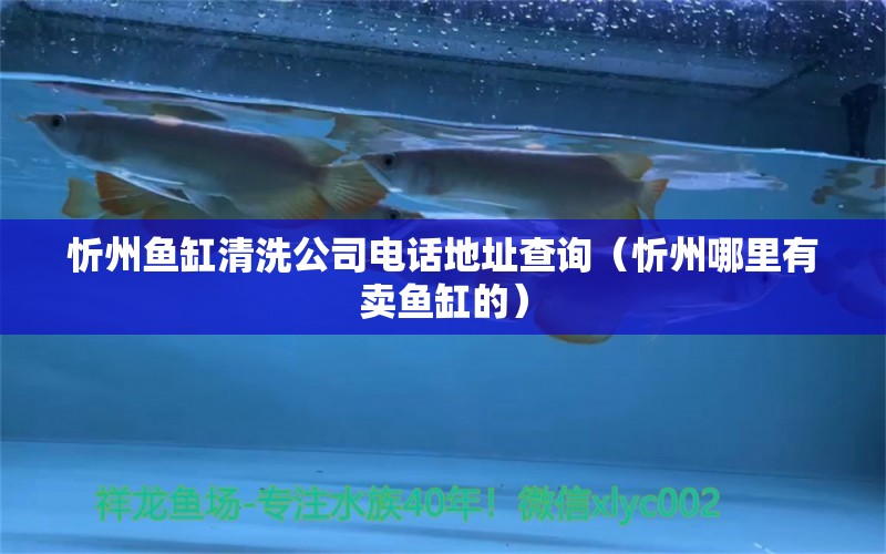 忻州魚(yú)缸清洗公司電話地址查詢(xún)（忻州哪里有賣(mài)魚(yú)缸的）