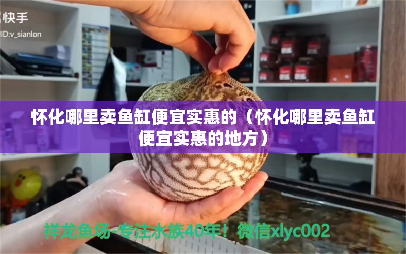 懷化哪里賣魚缸便宜實(shí)惠的（懷化哪里賣魚缸便宜實(shí)惠的地方） 潛水艇魚