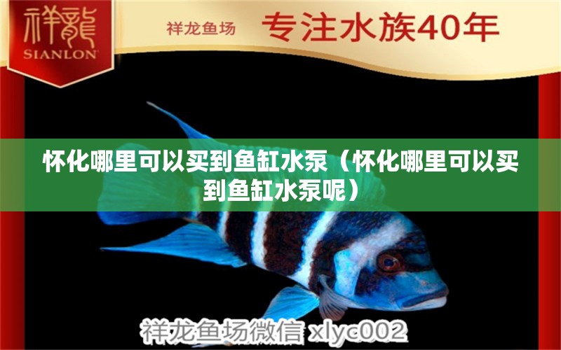 懷化哪里可以買到魚缸水泵（懷化哪里可以買到魚缸水泵呢） 魚缸水泵