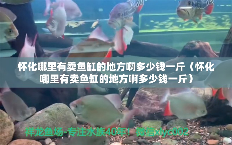 懷化哪里有賣魚缸的地方啊多少錢一斤（懷化哪里有賣魚缸的地方啊多少錢一斤） 南美異形觀賞魚