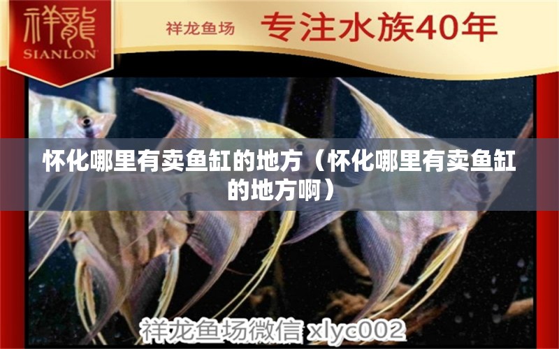 懷化哪里有賣魚缸的地方（懷化哪里有賣魚缸的地方?。? title=