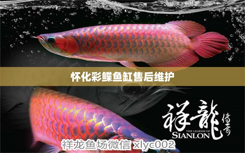 懷化彩鰈魚缸售后維護 彩鰈魚缸（彩蝶魚缸）