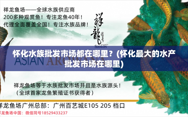 懷化水族批發(fā)市場都在哪里？(懷化最大的水產批發(fā)市場在哪里) 觀賞魚水族批發(fā)市場