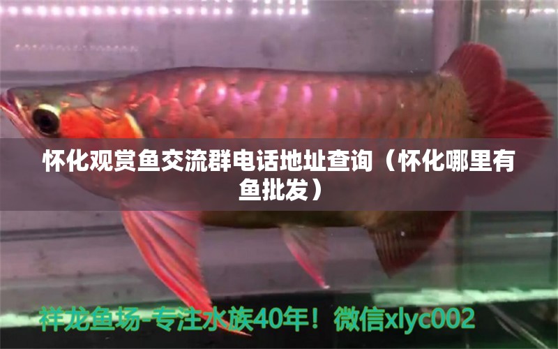 懷化觀賞魚交流群電話地址查詢（懷化哪里有魚批發(fā)）