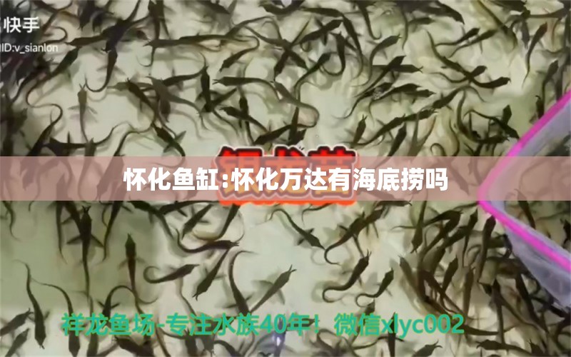 懷化魚缸:懷化萬達(dá)有海底撈嗎 魚缸百科