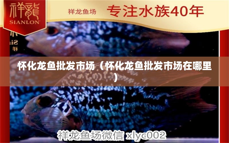 懷化龍魚批發(fā)市場（懷化龍魚批發(fā)市場在哪里） 龍魚批發(fā)