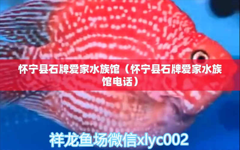 懷寧縣石牌愛家水族館（懷寧縣石牌愛家水族館電話） 全國(guó)水族館企業(yè)名錄