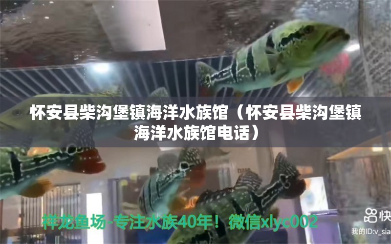 懷安縣柴溝堡鎮(zhèn)海洋水族館（懷安縣柴溝堡鎮(zhèn)海洋水族館電話(huà)）