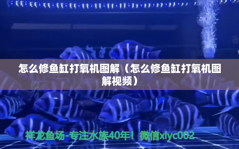 怎么修魚缸打氧機圖解（怎么修魚缸打氧機圖解視頻）