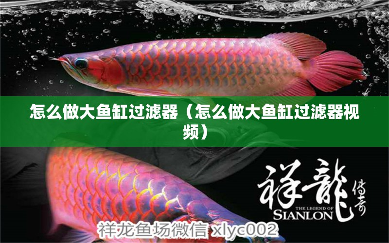 怎么做大魚缸過濾器（怎么做大魚缸過濾器視頻）