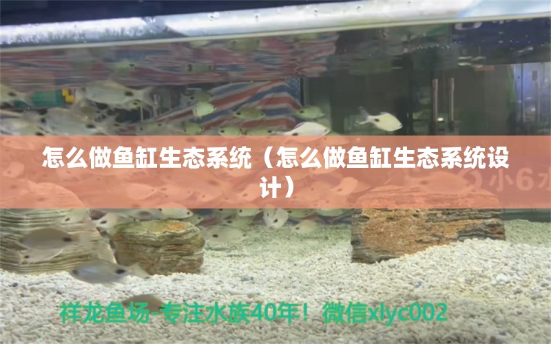 怎么做魚缸生態(tài)系統(tǒng)（怎么做魚缸生態(tài)系統(tǒng)設(shè)計(jì)） 祥龍魚場