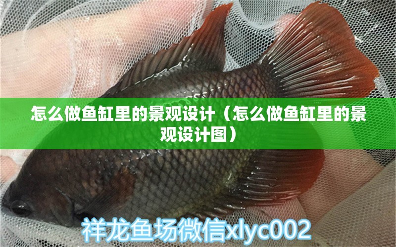 怎么做魚缸里的景觀設(shè)計(jì)（怎么做魚缸里的景觀設(shè)計(jì)圖） 廣州景觀設(shè)計(jì)