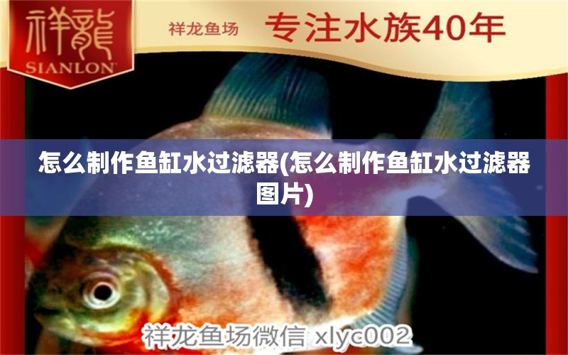 怎么制作魚缸水過濾器(怎么制作魚缸水過濾器圖片) 水溫計 第1張