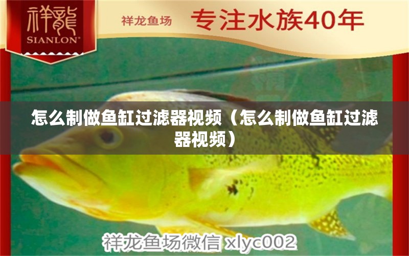 怎么制做魚缸過濾器視頻（怎么制做魚缸過濾器視頻） 祥龍水族醫(yī)院