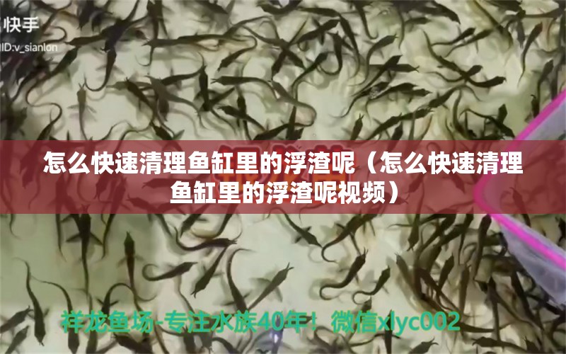 怎么快速清理魚缸里的浮渣呢（怎么快速清理魚缸里的浮渣呢視頻） 祥龍水族醫(yī)院