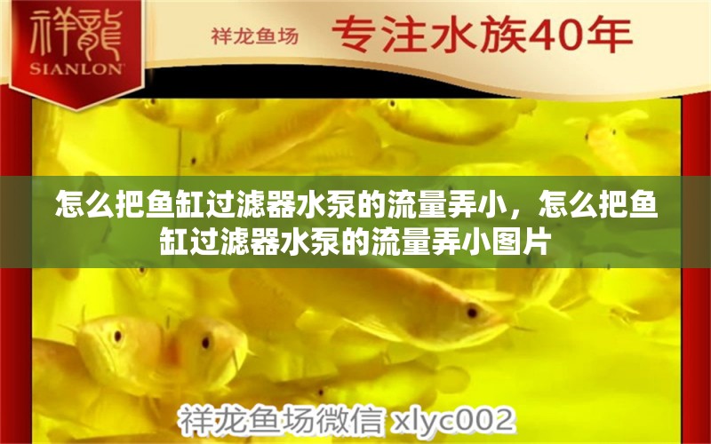 怎么把魚缸過(guò)濾器水泵的流量弄小，怎么把魚缸過(guò)濾器水泵的流量弄小圖片 黑云魚