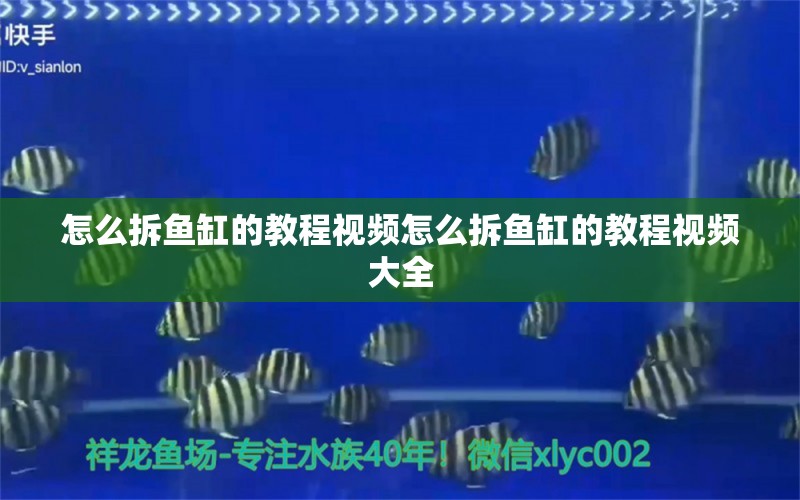 怎么拆魚缸的教程視頻怎么拆魚缸的教程視頻大全 潛水艇魚