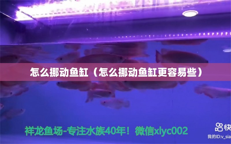 怎么挪動(dòng)魚(yú)缸（怎么挪動(dòng)魚(yú)缸更容易些） 其他品牌魚(yú)缸