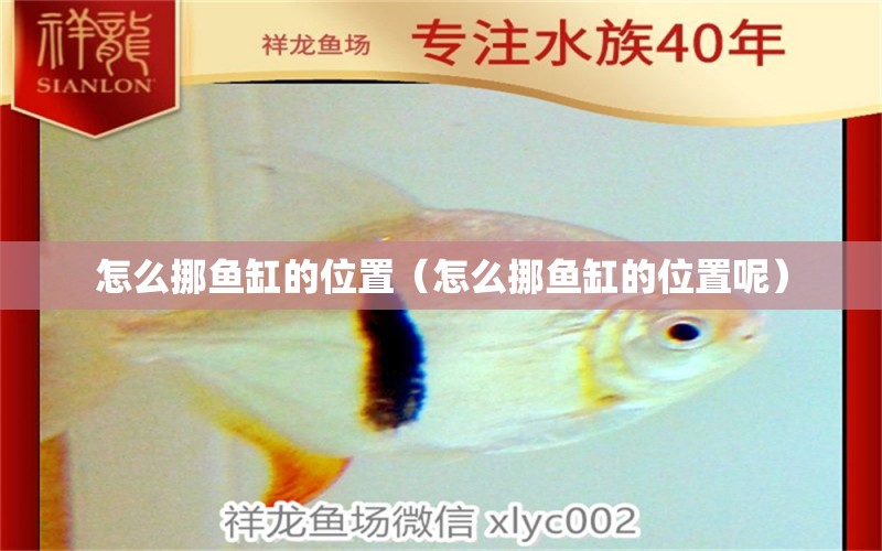 怎么挪魚缸的位置（怎么挪魚缸的位置呢）