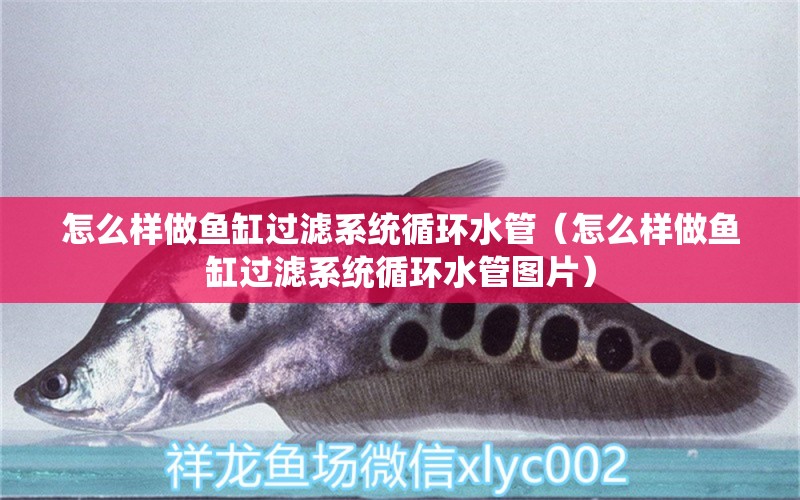 怎么樣做魚缸過(guò)濾系統(tǒng)循環(huán)水管（怎么樣做魚缸過(guò)濾系統(tǒng)循環(huán)水管圖片）