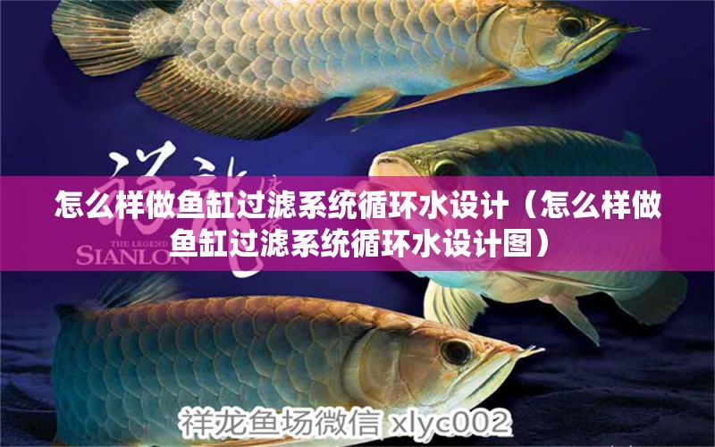 怎么樣做魚缸過濾系統(tǒng)循環(huán)水設(shè)計（怎么樣做魚缸過濾系統(tǒng)循環(huán)水設(shè)計圖） 其他品牌魚缸