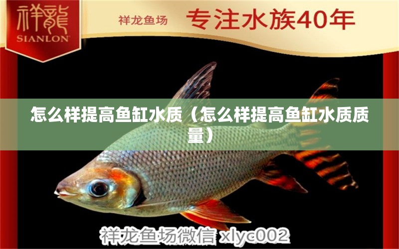 怎么樣提高魚缸水質(zhì)（怎么樣提高魚缸水質(zhì)質(zhì)量） 其他品牌魚缸