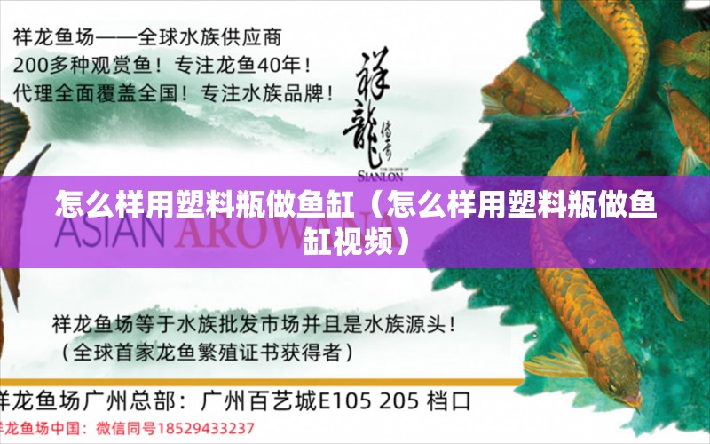 怎么樣用塑料瓶做魚缸（怎么樣用塑料瓶做魚缸視頻）