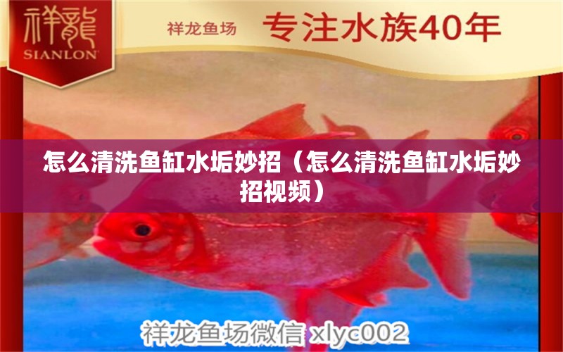 怎么清洗魚缸水垢妙招（怎么清洗魚缸水垢妙招視頻） 祥龍水族醫(yī)院