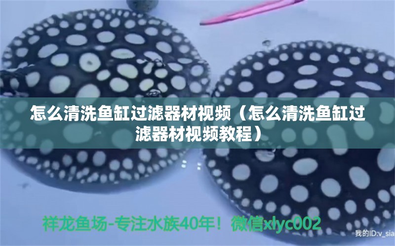 怎么清洗魚缸過濾器材視頻（怎么清洗魚缸過濾器材視頻教程）