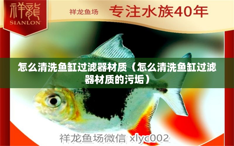 怎么清洗魚缸過濾器材質（怎么清洗魚缸過濾器材質的污垢）