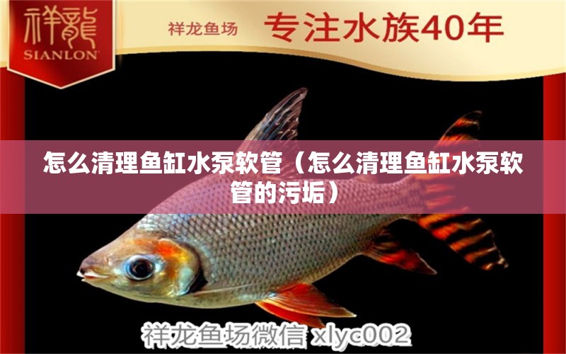 怎么清理魚缸水泵軟管（怎么清理魚缸水泵軟管的污垢）