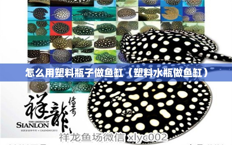 怎么用塑料瓶子做魚缸（塑料水瓶做魚缸）