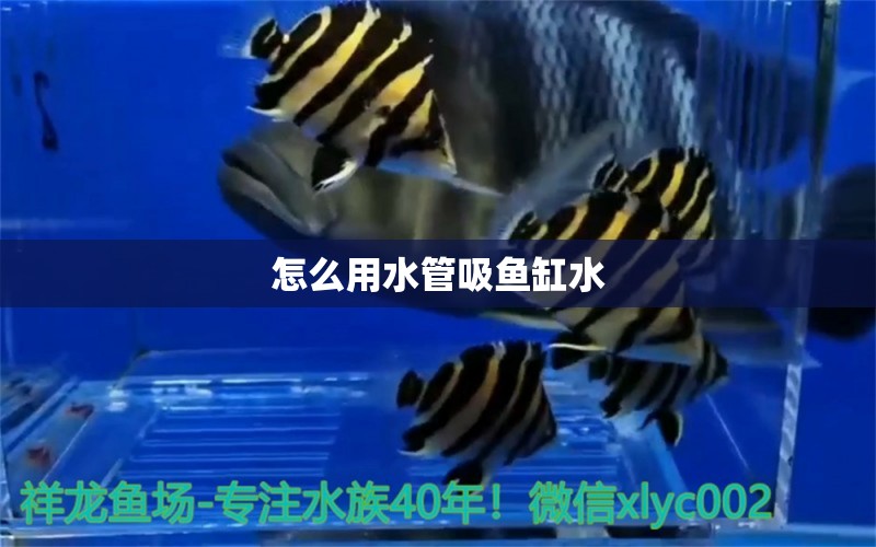 怎么用水管吸魚缸水