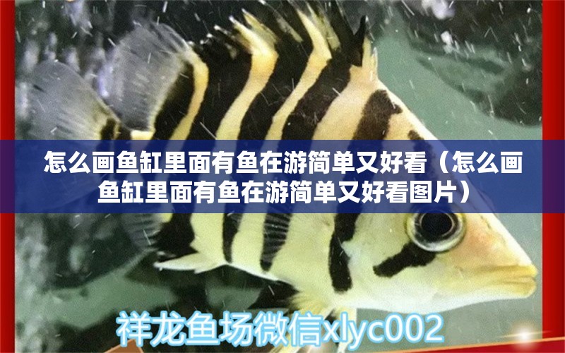 怎么畫魚缸里面有魚在游簡(jiǎn)單又好看（怎么畫魚缸里面有魚在游簡(jiǎn)單又好看圖片）