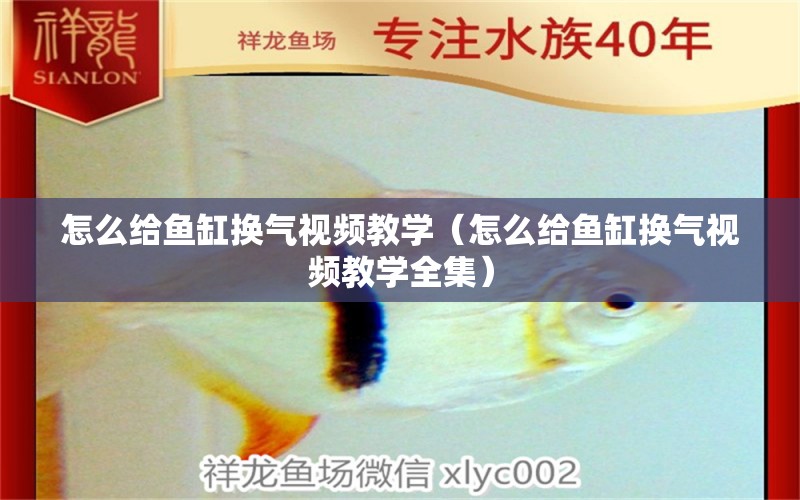 怎么給魚缸換氣視頻教學(xué)（怎么給魚缸換氣視頻教學(xué)全集） 蝴蝶鯉魚苗