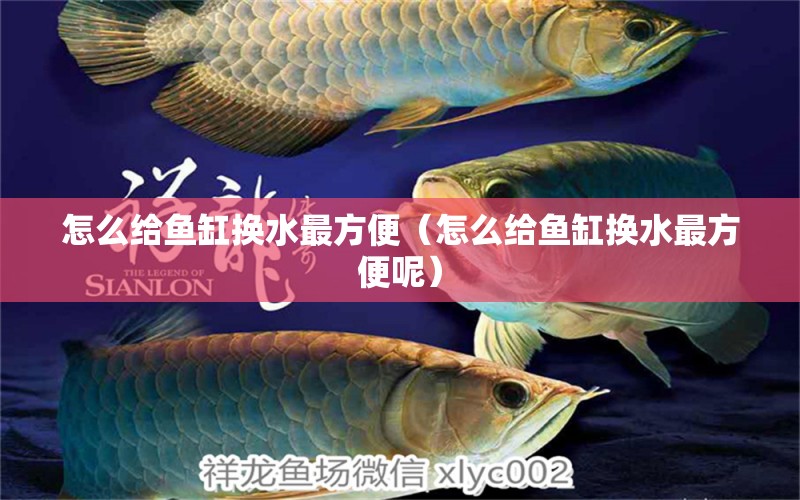 怎么給魚缸換水最方便（怎么給魚缸換水最方便呢） 廣州祥龍國際水族貿易