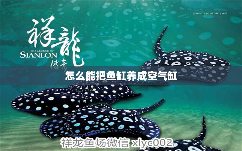 怎么能把魚缸養(yǎng)成空氣缸