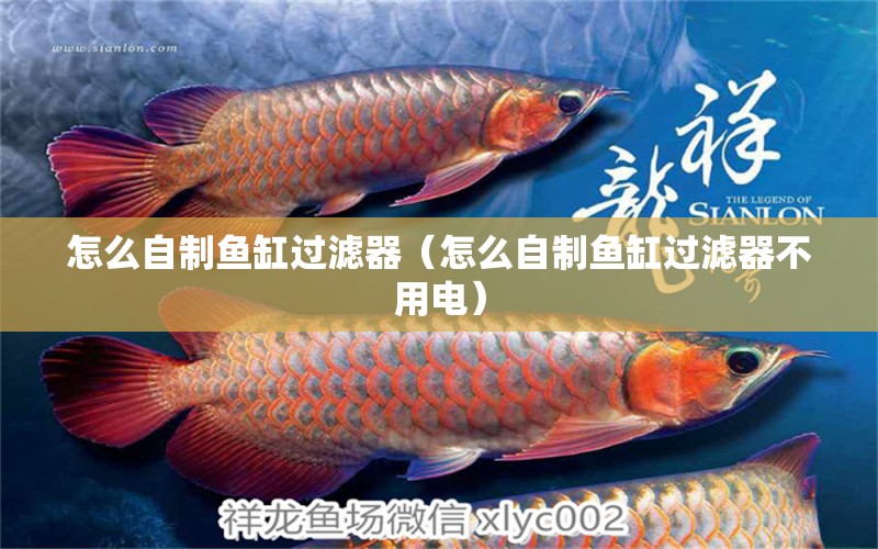 怎么自制魚缸過濾器（怎么自制魚缸過濾器不用電）