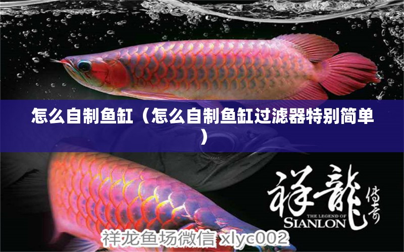 怎么自制魚缸（怎么自制魚缸過濾器特別簡單）