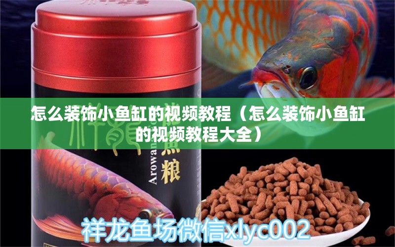 怎么裝飾小魚(yú)缸的視頻教程（怎么裝飾小魚(yú)缸的視頻教程大全） 祥龍水族醫(yī)院