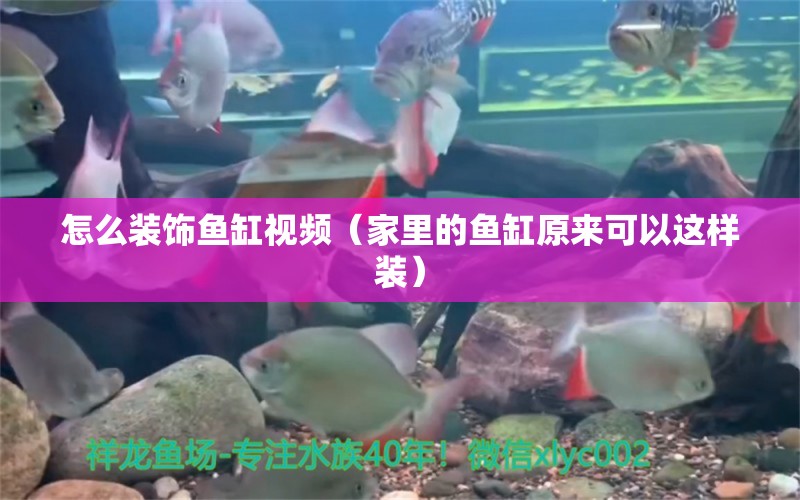 怎么裝飾魚缸視頻（家里的魚缸原來(lái)可以這樣裝） 魚缸風(fēng)水 第2張