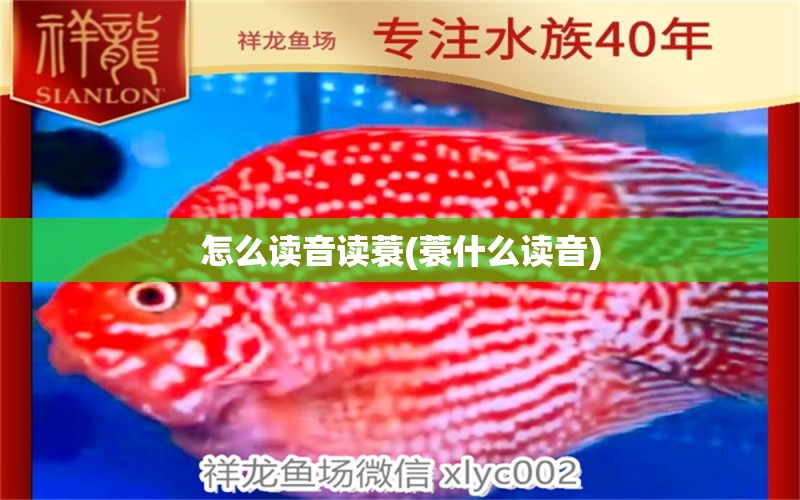 怎么讀音讀蓑(蓑什么讀音) 南美異形觀賞魚(yú)